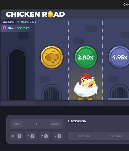Dove Giocare a Chicken Road Scopri i Migliori Casinò Online -779576963 Dove Giocare a Chicken Road Scopri i Migliori Casinò Online -779576963
